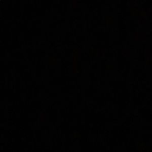 Meet your Posher, Evan